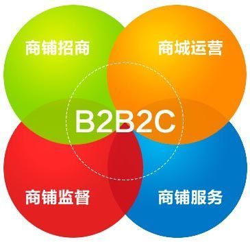 B2B2C购物商城系统要怎样才能盈利?